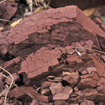 從頁巖到陶粒選用那些粉碎機(jī)合適